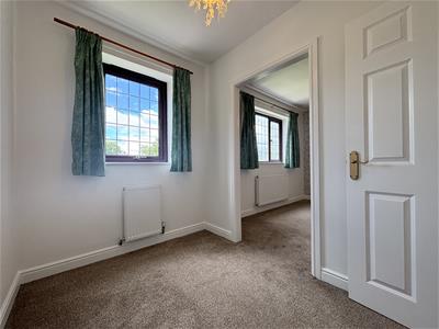 Picture 19
